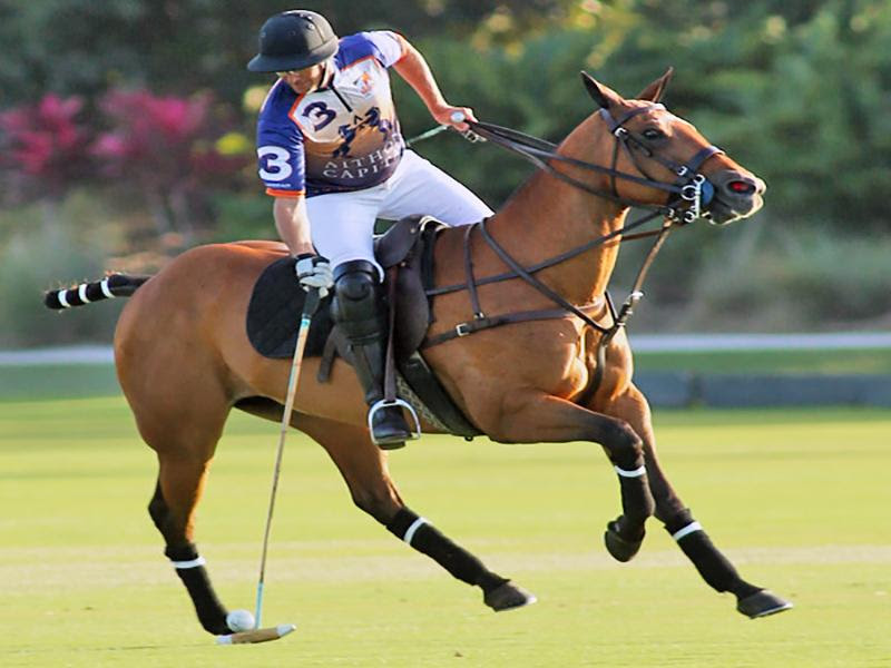 Paint Wellington Orange the Exciting Return of Nic Roldan's Sunset Polo & White Party