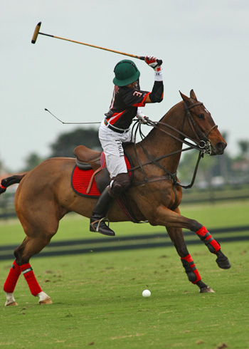 Polo magazine polo photos polo club ERG polo team Orchard Hill alex pacheco 1