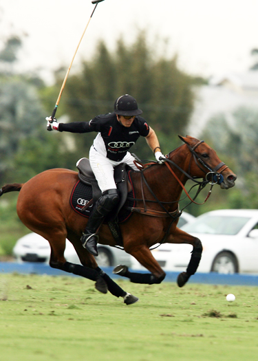 orchardhill polo team audi polo team ipc polo club alex pacheco polo photos 1