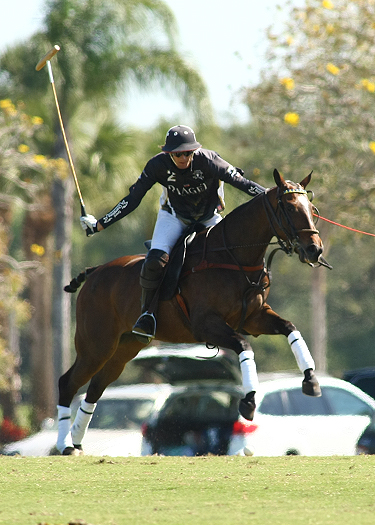 polotoppolotournamentalexpaceheco photos orchardhill polo team piaget 1