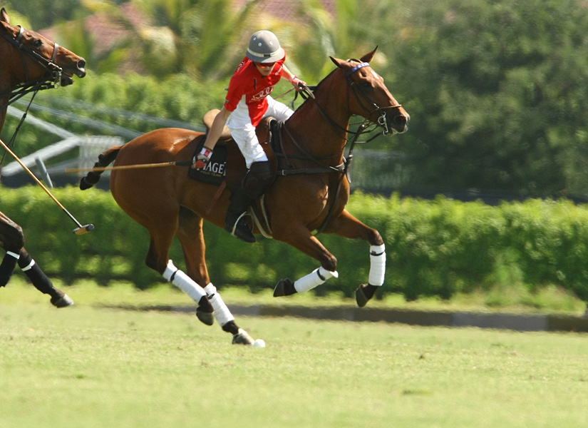 Eastern challenge polo tournament polo mag 3