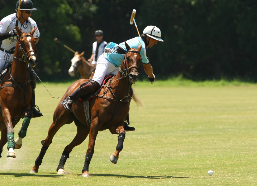 polosun 3