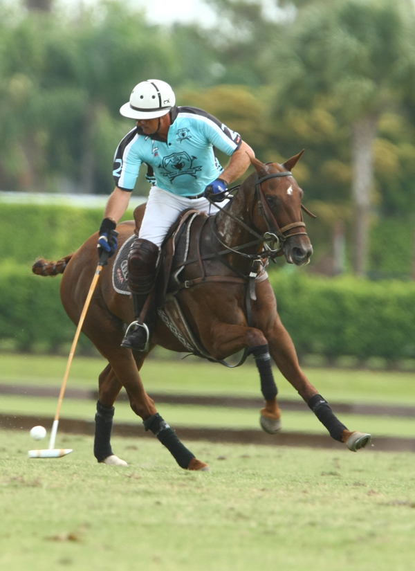 uspa polo tournament sun cup round robin pacheco polo mag 2