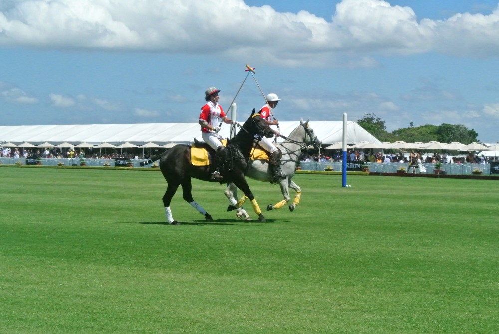 DSC 8015