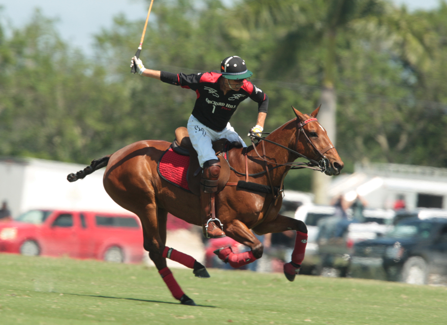 photos-alegria-11-orchard-hill-10 5 polomagazine.jpg