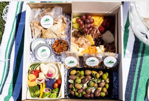 Today: Audi Polo Team vs Gardenvale East Coast Open 2021