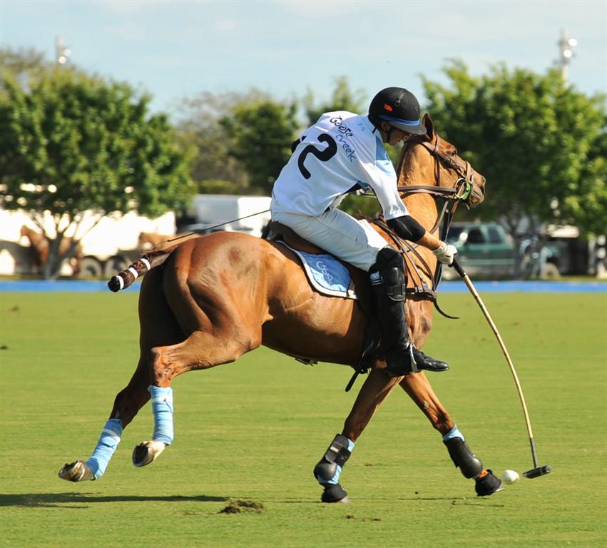 Ami De La Mer Photography