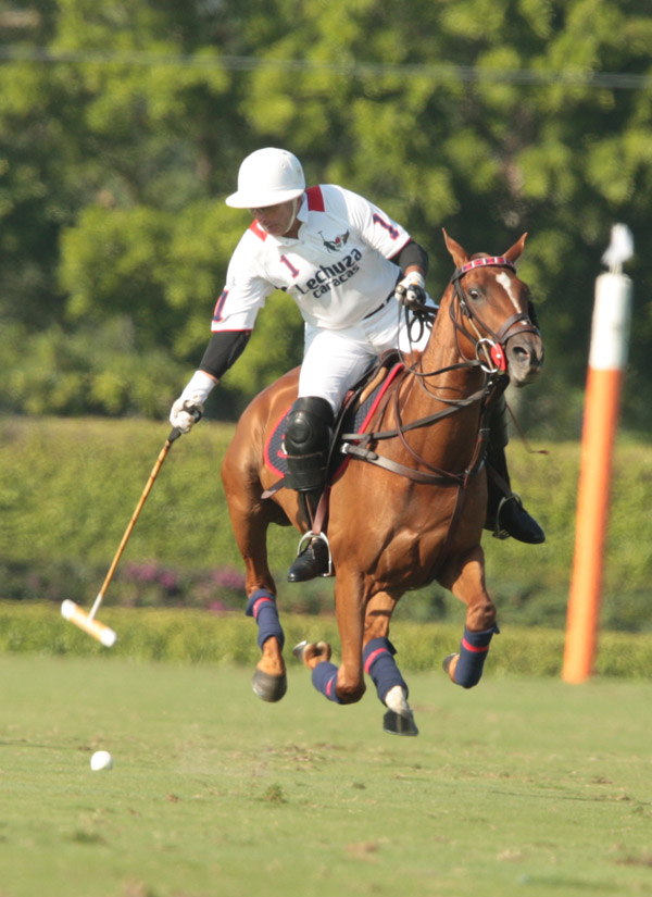 PhotosLechuza Caracas Faraway polomagazine 8